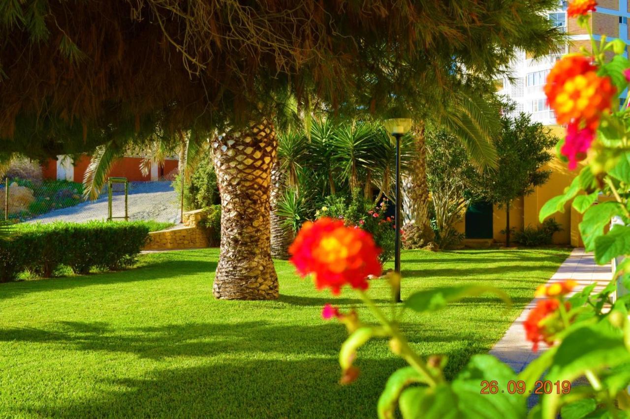 Bungalo En Primera Linea De La Playa إل كامبيلو المظهر الخارجي الصورة